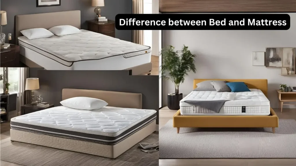 Difference between Bed and Mattress